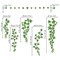decalmile Hanging Vine Wall Decals Evergreen Ivy Leaves Wall Stickers Bedroom Living Room Sofa TV Background Wall Art Decor